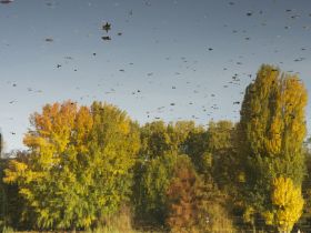 herbstwasser30x40S.jpg
